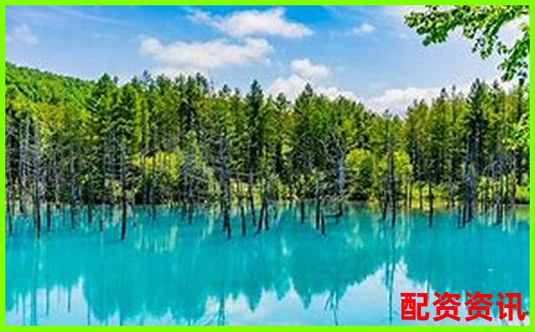 國內(nèi)配資APP排行榜Top10盤點，實測評分出爐